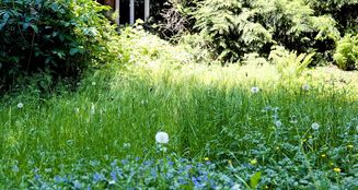 von_poll_real_estate_property_25002007a_image_1