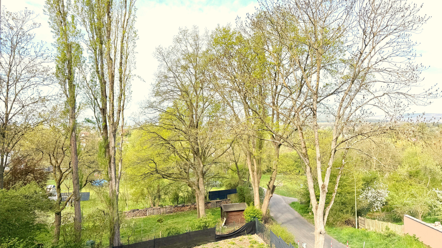 Blick ins Grüne