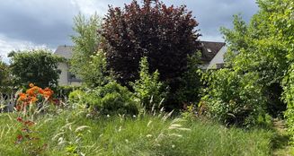 von_poll_real_estate_property_25002022_image_0