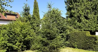 von_poll_real_estate_property_25002022_image_1