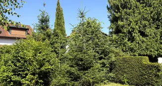 von_poll_real_estate_property_25002022_image_2