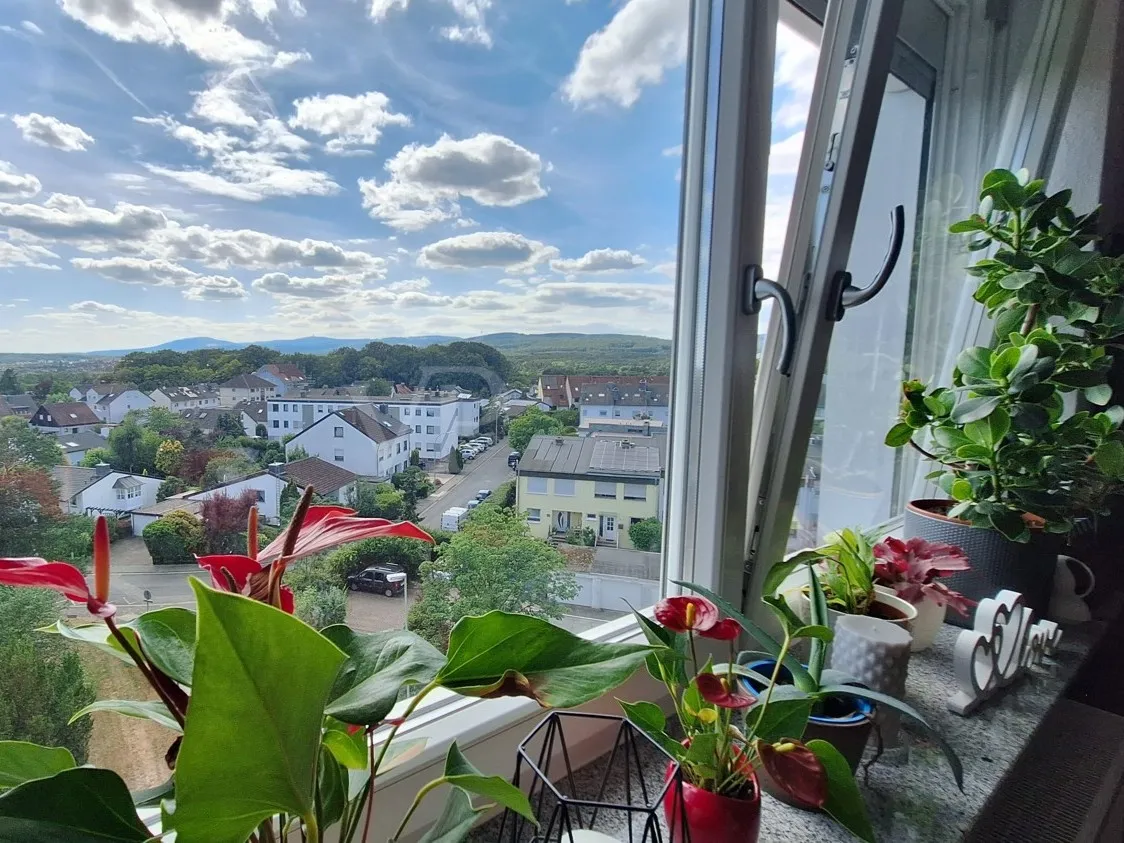 Blick aus dem Wohnbereich