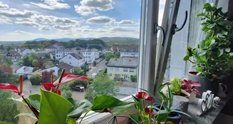 von_poll_real_estate_property_25002072_image_8