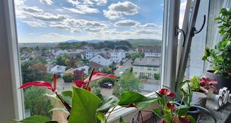 von_poll_real_estate_property_25002072_image_7