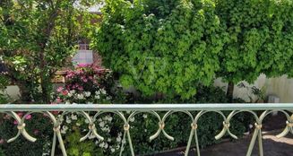 von_poll_real_estate_property_25002041_image_8