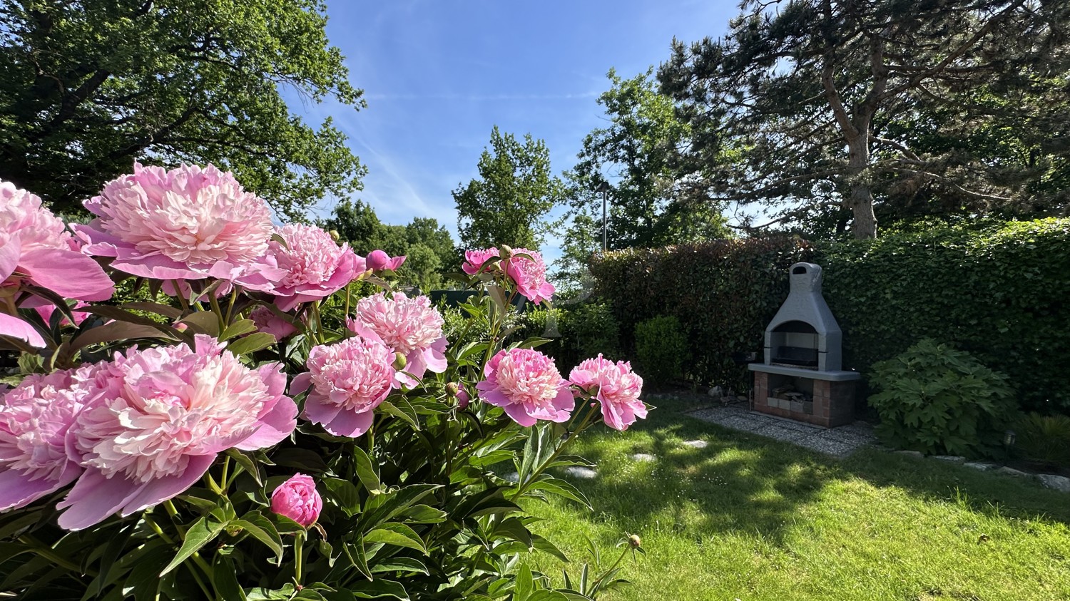 Gartenansicht 1