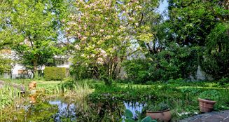 von_poll_real_estate_property_25002039_image_17