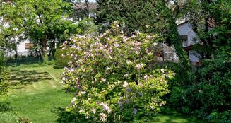 von_poll_real_estate_property_25002039_image_18