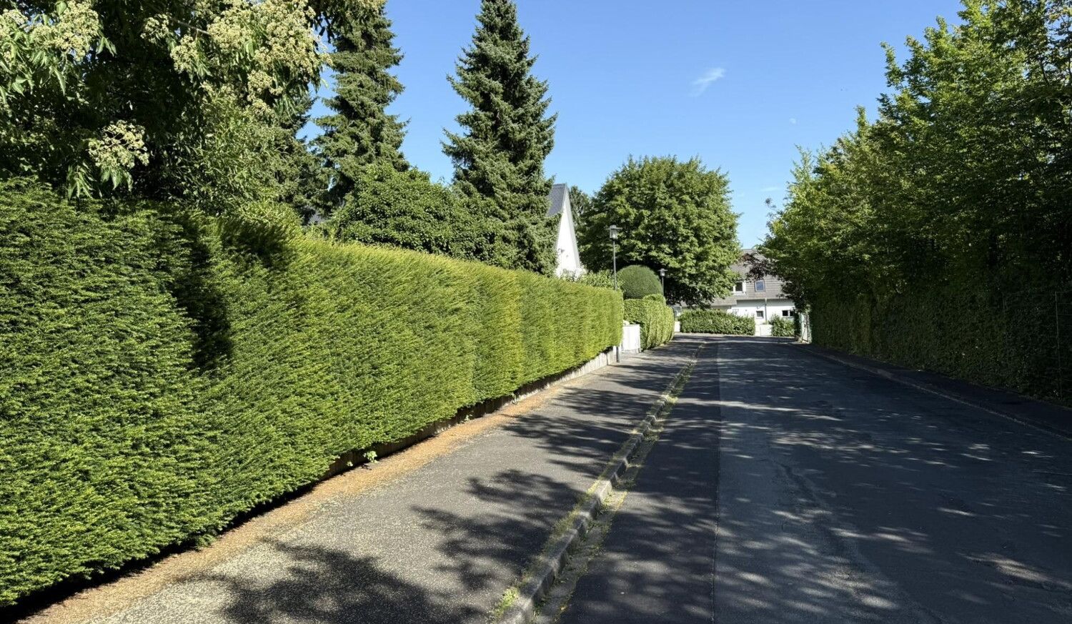 Titelbild mit Rahmen