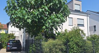 von_poll_real_estate_property_25002074_image_10