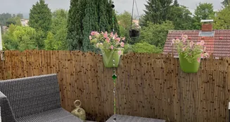 von_poll_real_estate_property_25002077_image_8