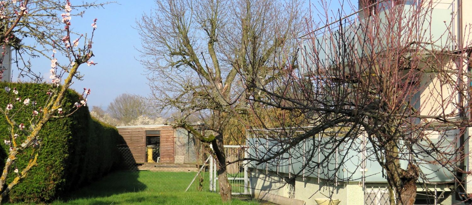 Gartenansicht