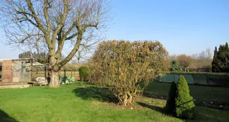 von_poll_real_estate_property_24002025_image_2