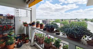 von_poll_real_estate_property_25002069a_image_12