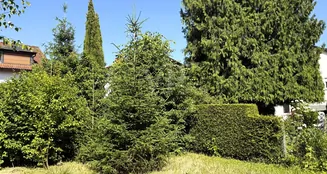 von_poll_real_estate_property_25002022a_image_2