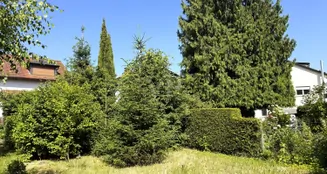 von_poll_real_estate_property_25002022a_image_2