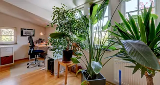 von_poll_real_estate_property_25002026a_image_9