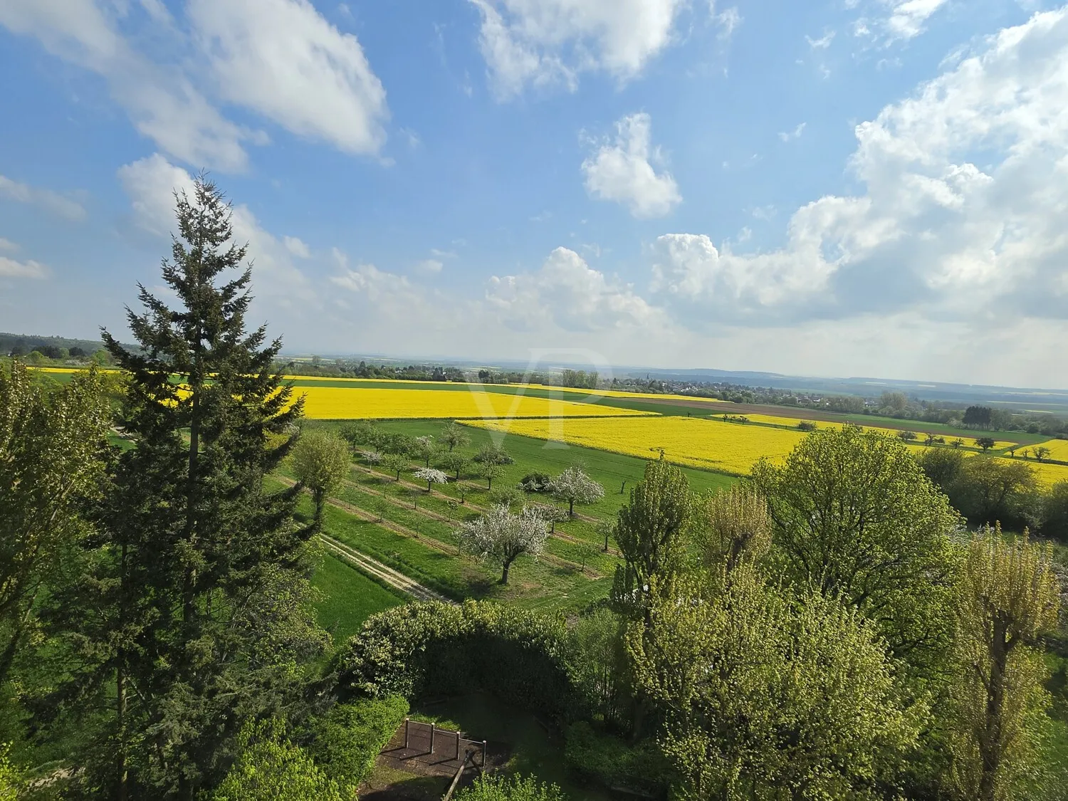 Blick