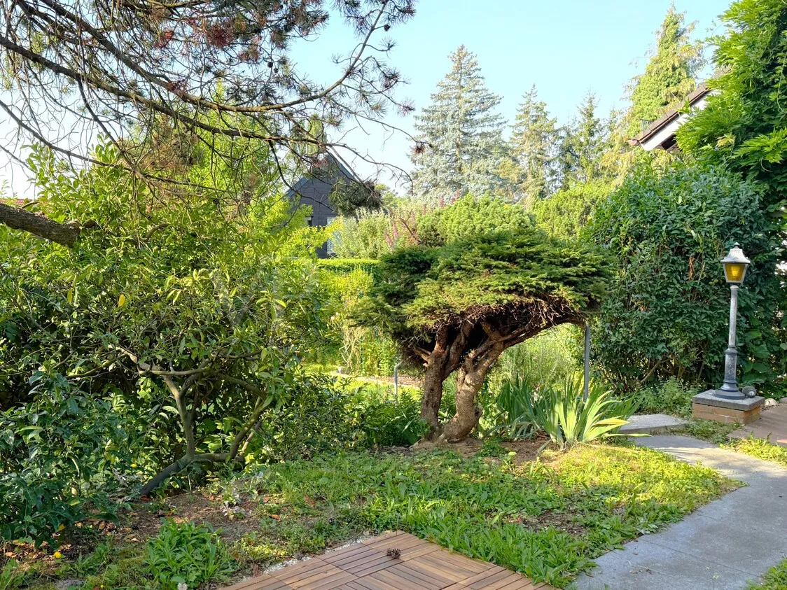 Blick in den Garten