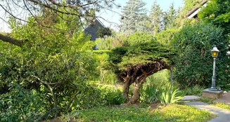 von_poll_real_estate_property_25002076a_image_3