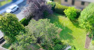 von_poll_real_estate_property_25002076a_image_4