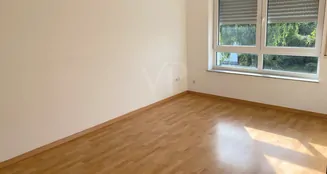 von_poll_real_estate_property_25002097_image_6