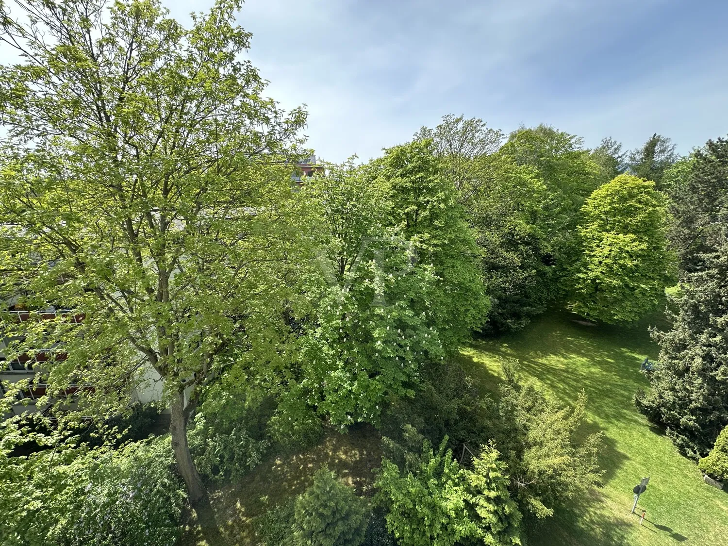 Ausblick