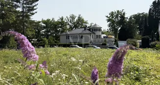 von_poll_real_estate_property_25002075b_image_1