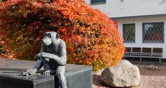 von_poll_real_estate_property_25002095_image_11