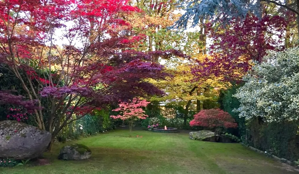 Gartenansicht Sommer