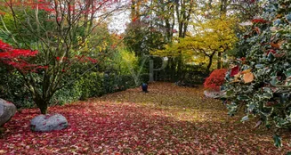 von_poll_real_estate_property_25002095_image_14