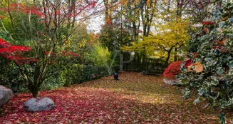 von_poll_real_estate_property_25002095_image_14