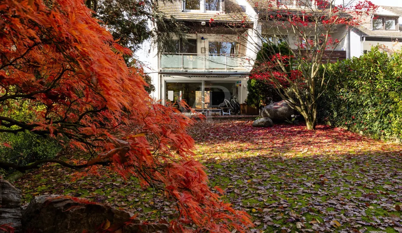 Hintere Hausansicht (2)