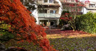 von_poll_real_estate_property_25002095_image_15