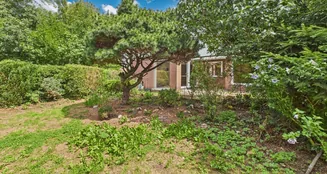 von_poll_real_estate_property_25076045_image_15