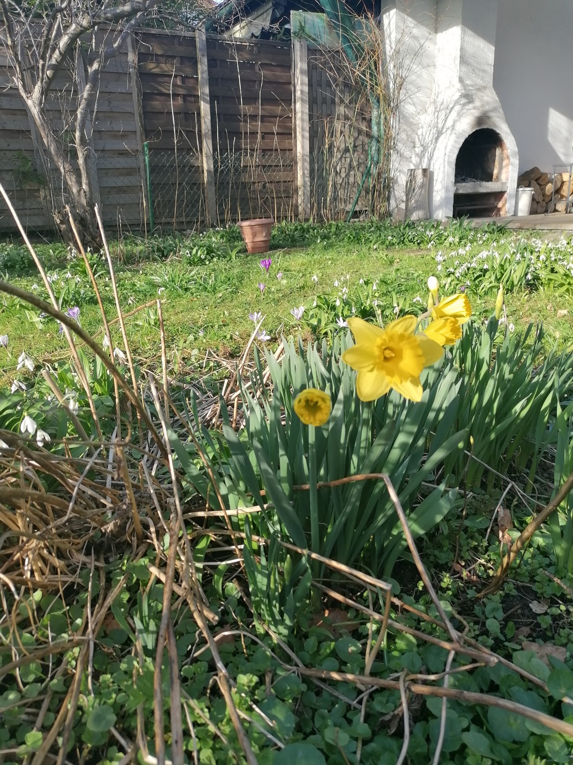 Garten und Außenkamin