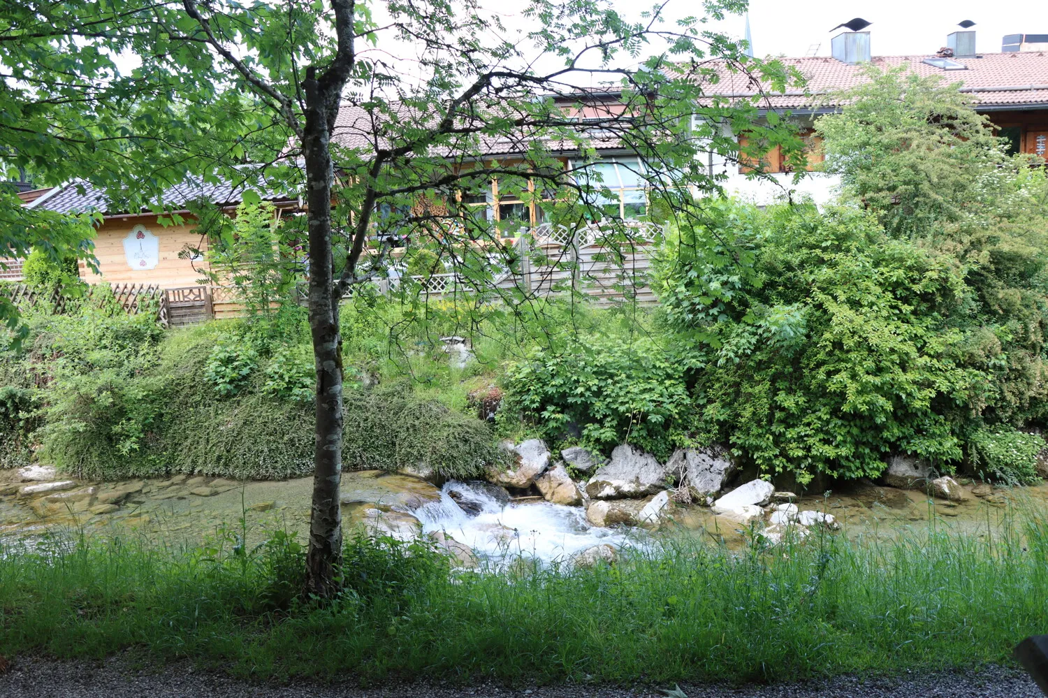 Die Umgebung
