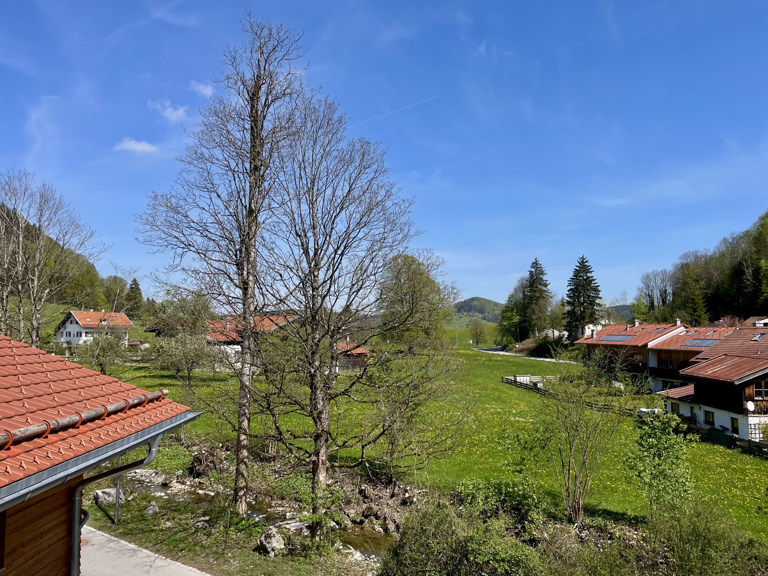 Ausblick ins Grüne
