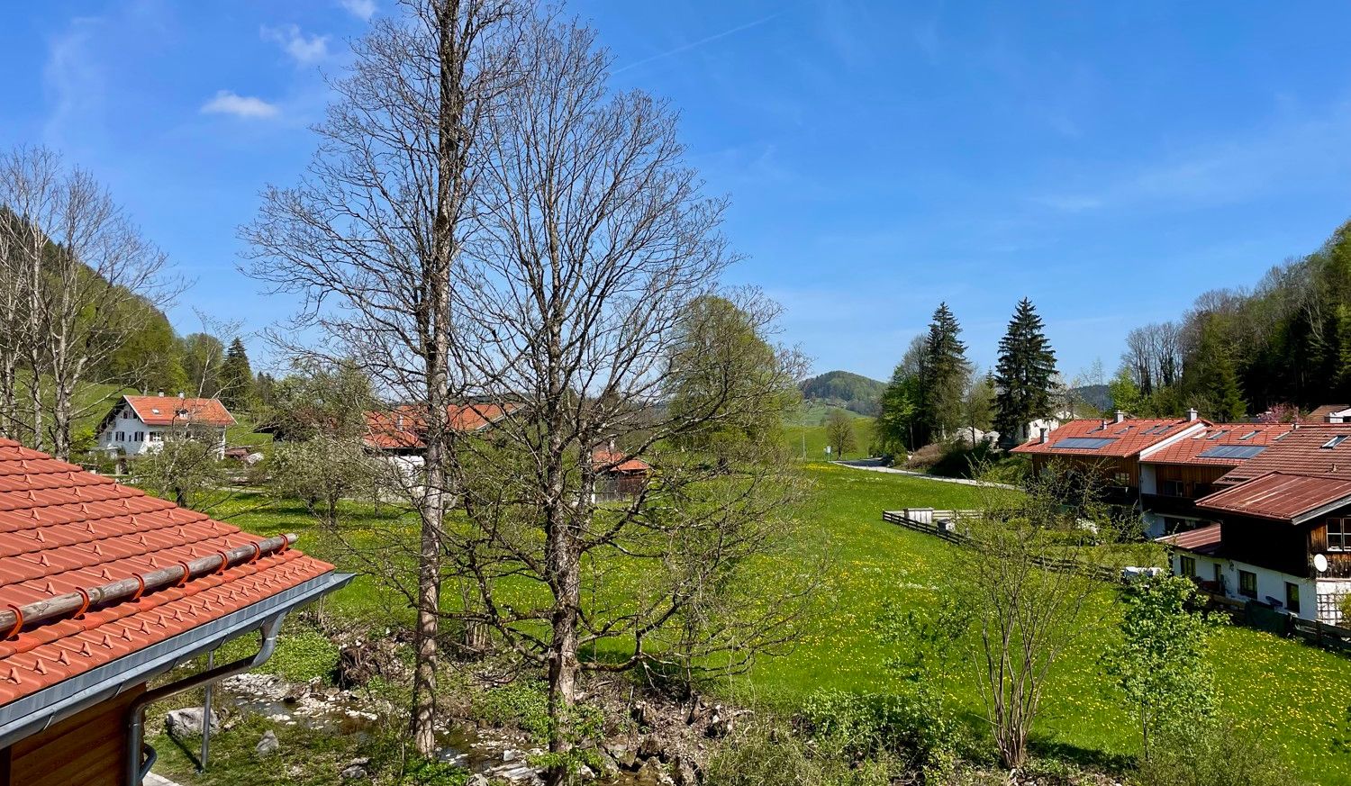 Ausblick ins Grüne