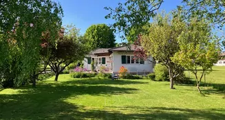 von_poll_real_estate_property_25046024_image_5