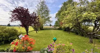 von_poll_real_estate_property_25046024_image_0