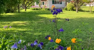 von_poll_real_estate_property_25046024_image_6