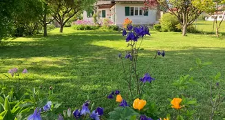 von_poll_real_estate_property_25046024_image_6