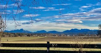 von_poll_real_estate_property_25046024_image_8