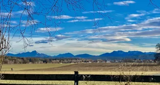 von_poll_real_estate_property_25046024_image_8