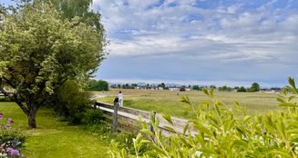 von_poll_real_estate_property_25046024_image_2