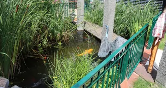 von_poll_real_estate_property_26046002_image_16