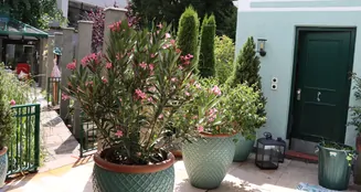 von_poll_real_estate_property_26046002_image_8