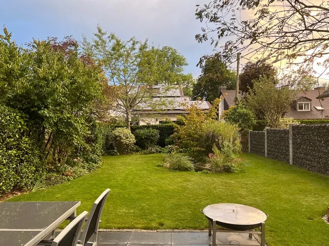 Blick in den Garten