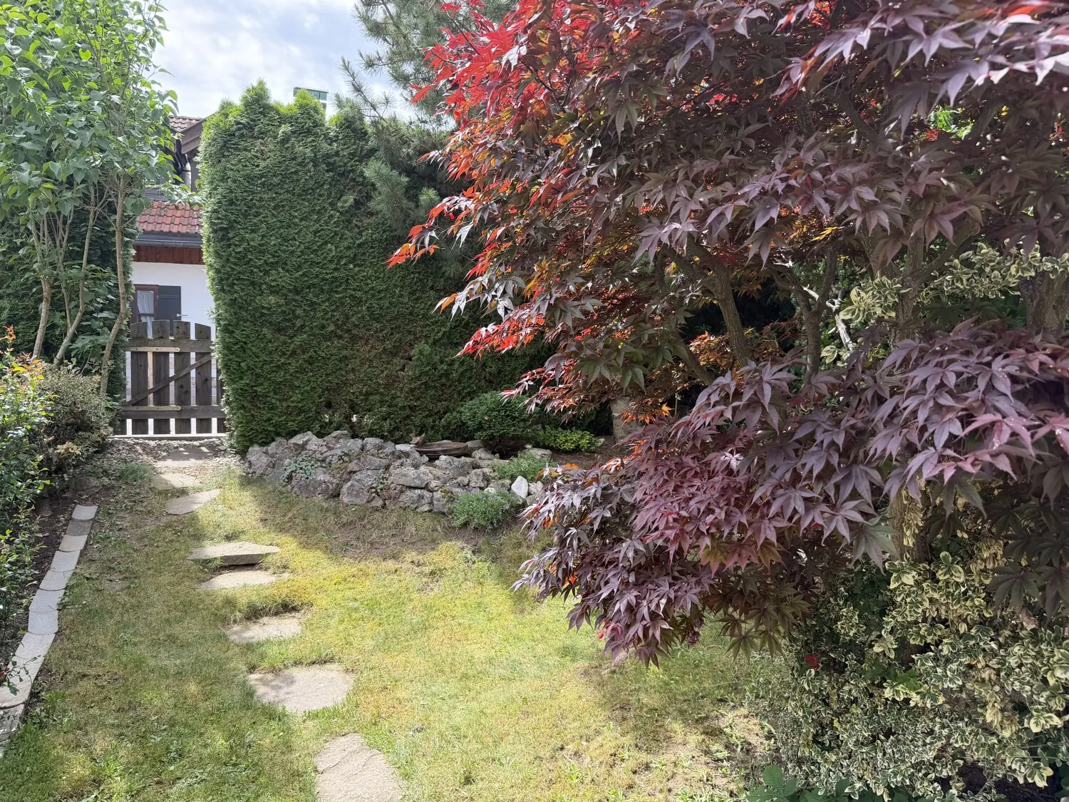 Blick in den Garten